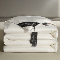Luxury 100% mulberry silk quilt Handmade mulberry silk comforter spring autumn blanket winter super warm thickened home quilt