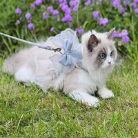 Princess Style Cat Harness Leash Adjustable Breathable Pet Chest Strap with Bowknot Nylon Dog Traction Rope For Cats Dogs