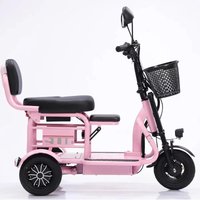 14 Lithium Battery Electric Tricycle, 48V 10Ah Mini 3 Wheel Scooter for Seniors, Lightweight City E-Bike with Basket &Child Seat