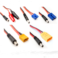 DC5.5*2.5mm Power Cable Adaptor to EC3 EC5 XT60 XT90 Male Alligator clips For TS100 ElectricSolderingSolder Iron 22AWG PVC 70cm