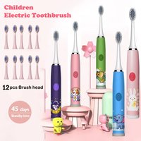 Brosse à dents électrique sonique pour enfants, dessin animé coloré, Rechargeable, fourrure douce, automatique, étanche, avec 12 têtes de rechange