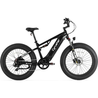 AliExpress Cyrusher Rover adult E-bike 750W 52V 15.6Ah battery Electric Bike, 26-inch fat tire E-Mountain bike