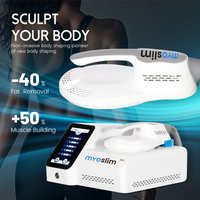 6500W EMS Muscle Builder & Fat Reducer – Advanced HI-EMT Technology for Vest Line & Peach Buttocks Training One Handle CE