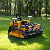 Customized Remote Control Lawn Mower with gps Robotic Lawn Mower, All-Terrain Slope Lawn Mower, Crawler Lawn Mower