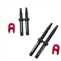 AliExpress FOURIERS VL-PE008 Bike VALVE / BOLT Tubeless Presta Valve (removable type) extender Bicycle tyre Parts