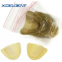 20Pcs/Pack Upper Lower Dental Lab Gold Denture Materials Golden Metal Palatal Reinforcement Mesh For Acrylic Partial Denture