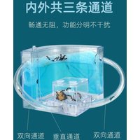 Ant Workshop Villa Home Castle Ecology Student Nest Small Pet Living Arch-backed Back Box