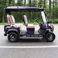 New Off-Road Electric Golf Cart Buggy For Sale High-End Seats With Armrests Gear Adjustment Sound Bar Aluminum Alloy Wheels