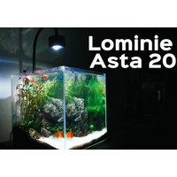Lominie Asta 20 Freshwater Planted Fish Tank 18W LED Aquarium Light with Remote Controller