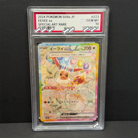 PTCG DIY 2024 POKEMON SV8a JP EEVEE ex SPECIAL ART RARE Base Set GAME GREY HAT VAN GOGH Game Proxy Card Gift Toy Dropshipping