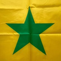 YIXIN FIagSenegal flag 90x150cm 3x5 Feet Super Poly football FLAG Indoor Outdoor Senegal Polyester hanging Flags