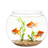 Decorative Aquarium Mini Fish Bowl Desktop Clear Landscape Fish Tank Bubble Planter Bowl For Table Centerpiece Party Decor
