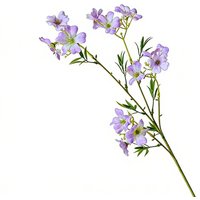 Silk Material Artificial Chrysanthemums Small Chrysanthemums Daisy Clematis Silk Flowers 12 Heads Floral Decorations