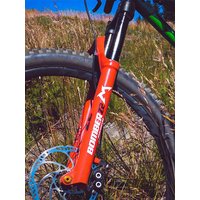 AliExpress WORMS For Front Fork Decals MTB Road Bicycle Stickers Racing Cycling DIY Protect Colorful Film Kit Bike Accessories 20.5cm