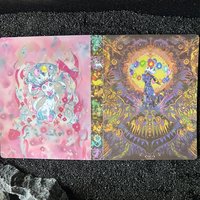 DIY PTCG Collection Card Booklet Ibrahimovic Advanced Eeveelution Protection Collectible Card Book Can Hold 240 CollectibleCards