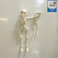 3D Printed Refrigerator Magnets Halloween Human Skeleton Bony framework Funny Halloween Decorations Home Decor Gift