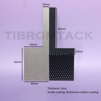 Titanium Anode Mesh with Terminals, Cathode Plate, Uncoated for Water Treatment, 50*40mm with Terminals, Ruthenium-Iridium Coati