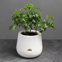 Hydroponic Flower Pot Lazy Flower Pot Plastic Self Watering Planter Flowerpot Garden Plants Basket Nursery Pots Home Decoration