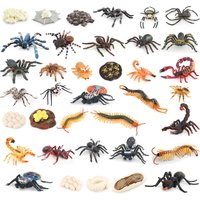 Realistic Montessori Life Cycle Series Of Spider Centiped Scorpion Ant Tarantula Insect Model Figures Learning Educational Toys