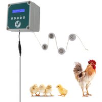 Automatic Chicken Coop Door Controller 100 To 240V Programmable Timer Electric Chicken Door Actuator Motor Set for Farm