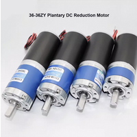 100KG 36MM 36ZY 12V/24V całkowicie metalowy silnik z przekładnią planetarną mikrosilnik prądu stałego silnik rur stalowych wysoki moment obrotowy wał w kształcie litery D/H