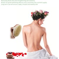 1/2Pcs SPA Body Brush with Natural Bristles for Dry Skin Wooden Bath Brush No Handle
