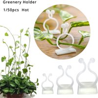 1-50Pcs Plant Climbing Wall Clip Acrylic Sticker Self-adhesive Hook Plant Vine Traction Fixator Indoor and Outdoor Decoration