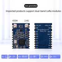 LoRa Dual-band Wireless Module 433M/2.4G Radio Frequency Communication LoRaWAN IoT Transceiver LR1121