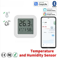 Indoor Mini Temperature and Humidity Meter, Bedroom Temperature Meter, Portable Electronic Digital Display, Humidity and Tempera