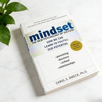 Mindset The New Psychology of Success English Paperback Growth Mindset Fulfill Potential Parenting Business Life Guide Book