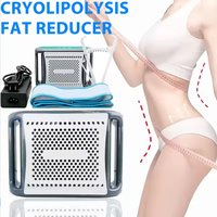 Cryotherapy Dissolve Fat Cold Therapy Anti Cellulite Massager Abdominal Lipo Freeze Machine Fat Lose Body Slimming Criolipolisis