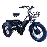 2026 Arrival Long Range Food Cart Delivery Cargo Tricycles 500W Electric Tricycle 3 Wheels Bike With Removable Lithium Battery