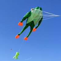New High-Quality Huge 71Inch Single Line Frog Sports Beach Kite Factory Outlet Good Flying