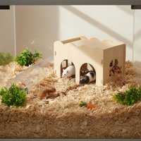 Wooden Hamster House Gnaw Resistant Guinea Pig Hideout Hut Small Pet Wood Shelter Flat Top Design Two-Door Pet Hideout