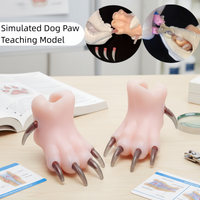 Silicone Dog Paw Training Model Realistic Practice Tool For Pet Grooming School Beginner Nail Clipping Trimming Teaching Aid