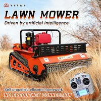 Customized Diesel Lawn Mower Professional Grade Low Fuel Consumption Strong Power Ce Epa