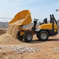 Small dump truck 1000 kg diesel small dump truck, used for agriculture and logistics, with CE certificate