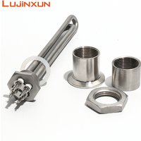 Lujinxun 300W/600W DN25/1inch Heating Element For Solar Water Heater DC12V/24V/48V Tubular Heaters All 304SS 200mm Length