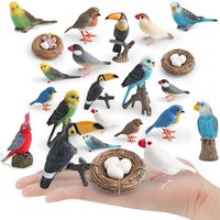 Realistic Java Sparrow Robin Parrot Toucan Bird Life Growth Cycle Model Figure Educational Animal Toy Ornaments for Fairy Garden