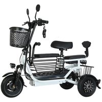 Flying Pigeon The Elderly Electric Tricycle Household Small Pick-up Children Lady Mother Folding Car Light Battery Car