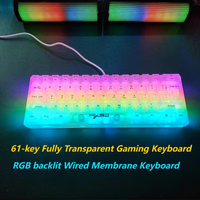 61-key fully transparent wired gaming keyboard with RGB backlight, ergonomic design, portable and ultra-compact 60% mini film ke