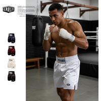 Men's Satin Boxing Trunks Tyson Tribute Pro Fight Muay Thai Kickboxing MMA Shorts Elastic Waistband Breathable Training Bottoms