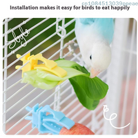 2/4 Pcs Pet Bird Food Holder Parrot Fruits Vegetables Clip Bracket Cuttlefish Bone Feeder Device Clamp Bird Cage Accessories