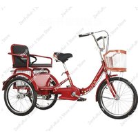 AliExpress NONE New Elderly Tricycle Rickshaw Elderly Pedal Scooter Double Car Pedal Bicycle Adult Tricycle