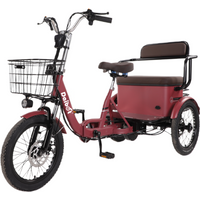 650W 48V 3 Wheels Electric Bicycle For Adult 18 Inch Folding Electric Bike 2 Seater For Old People Electric Tricycle With Basket