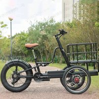 3 Wheel Electric Long Range Electric Front Cargo Bike 250W/350W/500W/750W Offroad Electric Tricycle E-bike