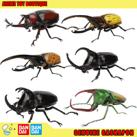 Bandai Genuine Biological Encyclopedia Dynastes Hercules Action Figures Model Pocket Beetle Rhinoceros Beetle Ornament Gashapon