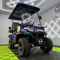 Hot Sale CE approve Independent Suspension LED Lights Off Road Buggy 2 4 6 Seater Electric Golf Cart