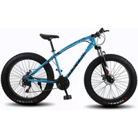 Stylish Mountain Bike 24 Inch 4.0 Fat Tire Adult Student Variable Speed Bike Off-road Snow Bike