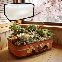Luggage shape succulent plant flowerpot resin silicone mold luggage shape storage box jewelry box gypsum mold Craft molds